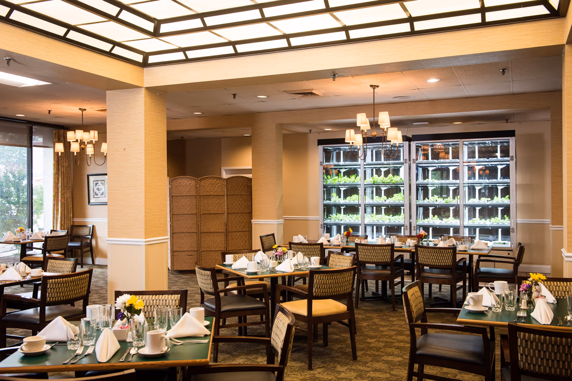 A well-lit dining room in a senior living facility with multiple tables set with white napkins, cups, glasses, and silverware. The room has wooden chairs with woven backs and a green tabletop. There are two large vertical garden units with green plants growing inside, positioned against the back wall. The ceiling has a grid light fixture, and there are chandeliers hanging above some tables. A wicker room divider is visible in the background near a window with curtains.
