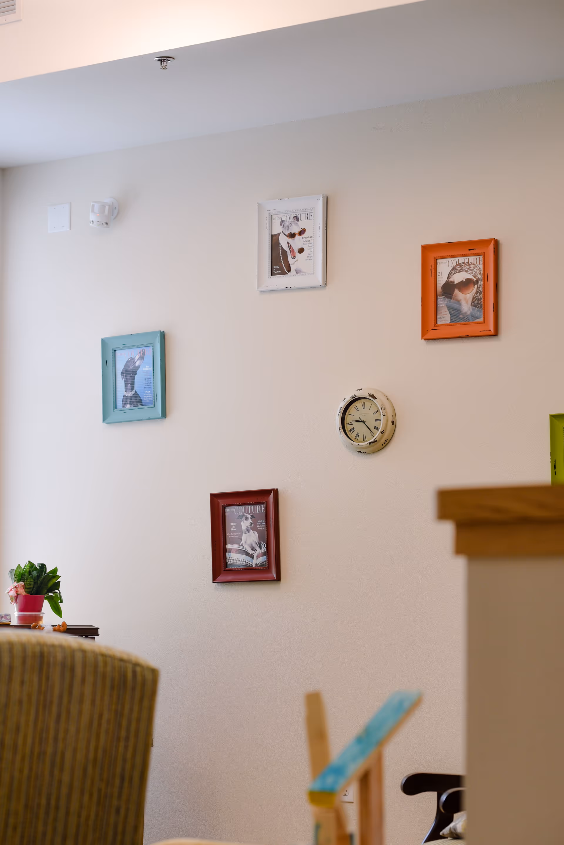 Light-colored living room wall decorated with several framed pictures, a round clock, and partial views of furniture and a potted plant.