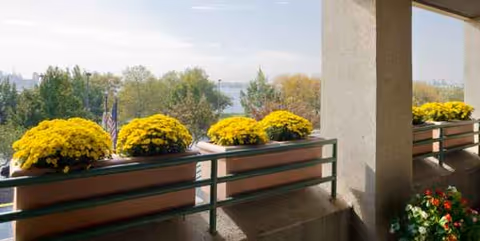 Balcony railing lined with yellow potted flowers overlooks a tree-filled landscape.