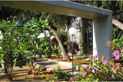Outdoor garden path at The Care Center of Honolulu with flowers, trees, and a lamp post.
