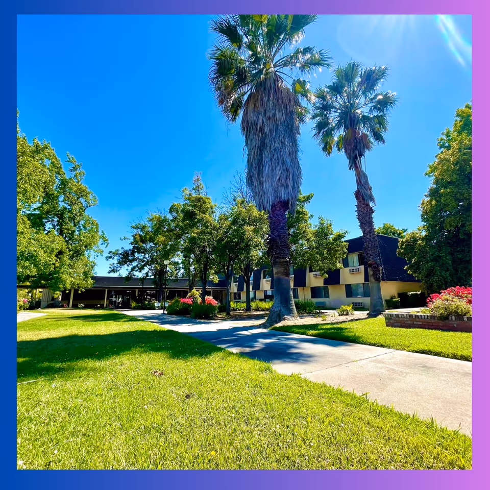 Front exterior of a two-story senior living building with palm trees, a walkway and a green lawn under a blue sky.