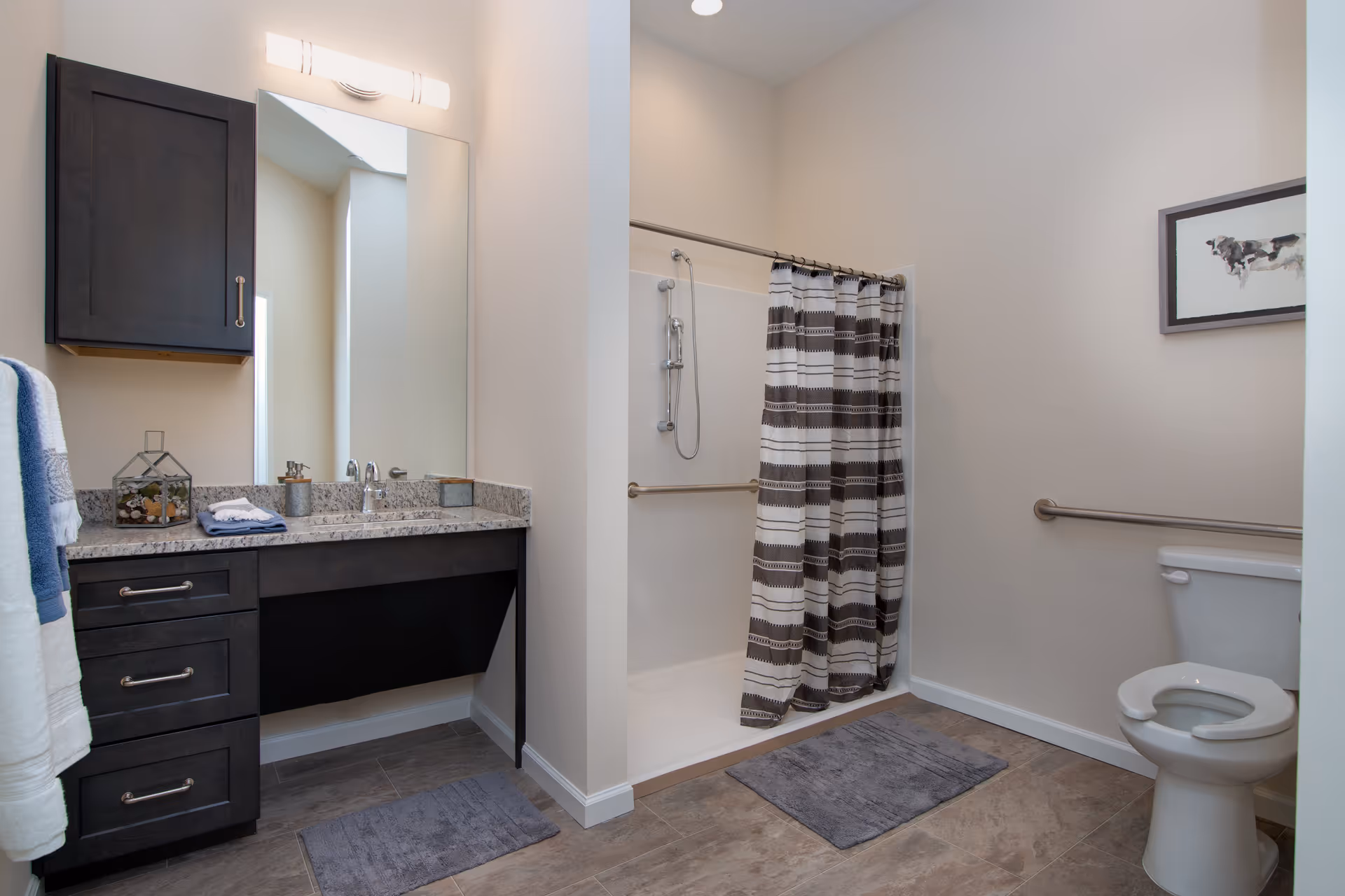 A clean and modern bathroom with a granite countertop vanity featuring dark wood cabinets, a large mirror, and a light fixture above. There is a walk-in shower with a striped shower curtain and a handheld showerhead. A toilet with a raised seat and grab bars is visible, along with two gray bath mats on the tiled floor. A framed picture of a cow hangs on the wall.