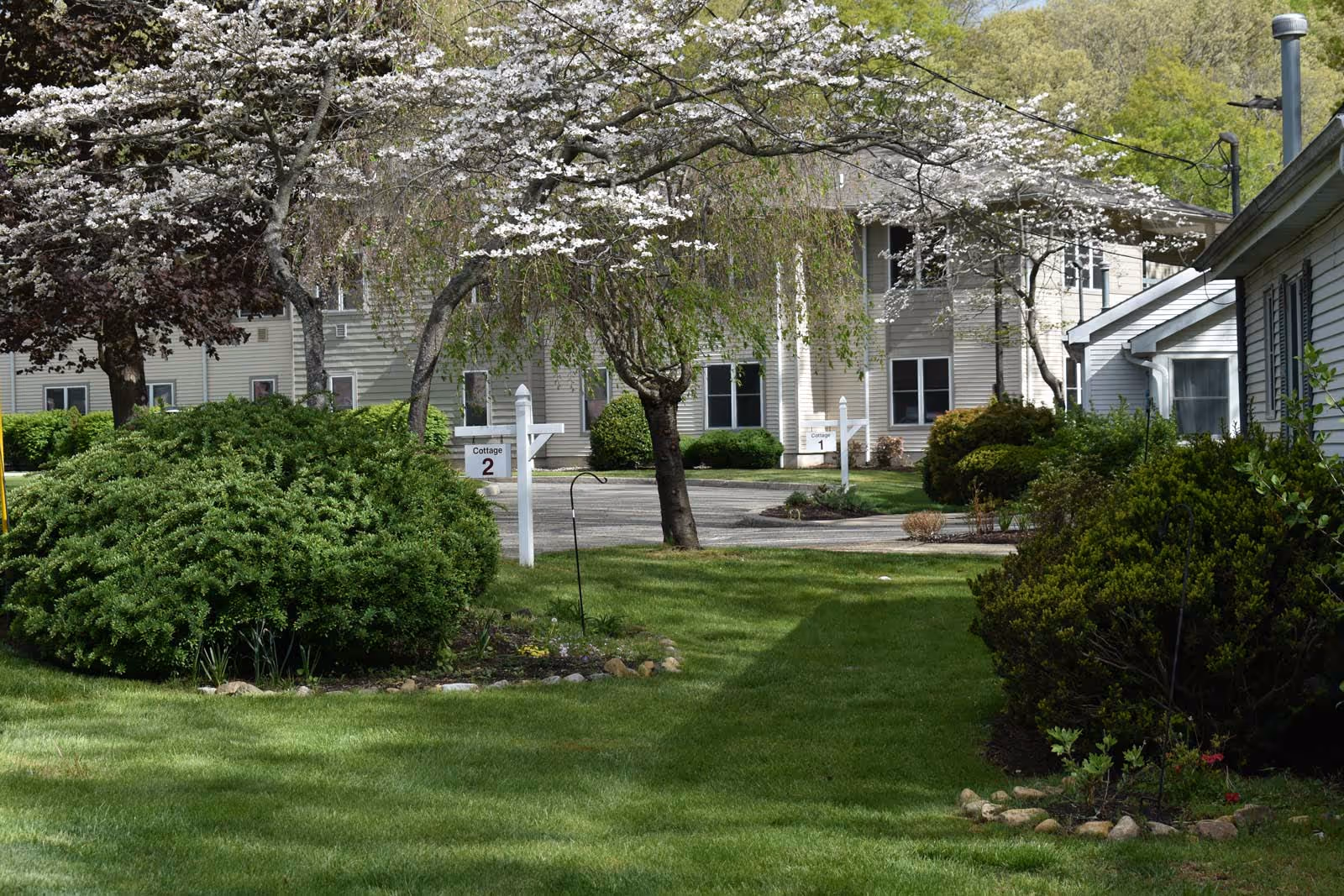 A peaceful outdoor scene at Riverwalk Village at The House of The Good Shepherd featuring green lawns, well-maintained bushes, blossoming trees with white flowers, and beige residential buildings in the background. Two white signposts indicate Cottage 1 and Cottage 2 along a paved pathway.