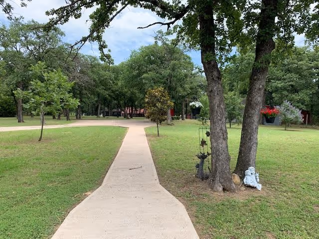 A concrete pathway leading through a grassy area with several trees and small plants on either side under a partly cloudy sky.