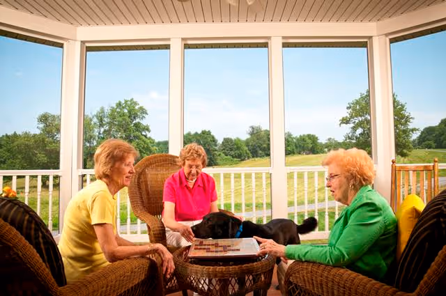 Three elderly women sitting on wicker chairs around a small round table on a porch or sunroom with large windows overlooking a green outdoor landscape. A black dog is on the table, interacting with the women who appear to be playing a board game.