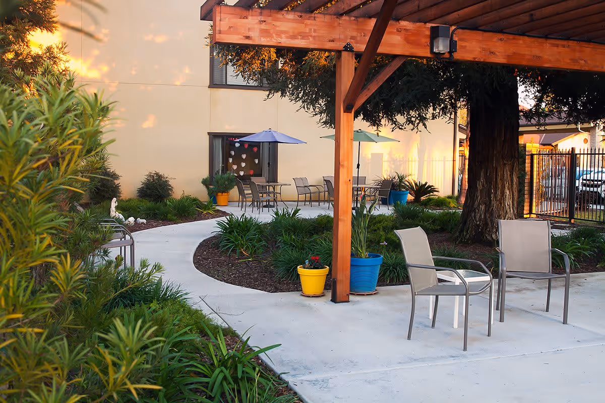 Sunny courtyard with a wooden pergola, patio chairs and tables with umbrellas, potted plants, and a winding concrete walkway beside a building.