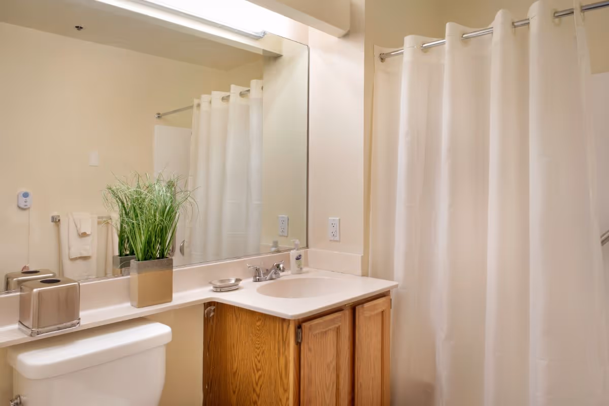 A clean bathroom with a white toilet, a wooden cabinet with a white countertop and sink, a large mirror above the sink, a silver soap dish, a small bottle of hand soap, a green potted plant, a white shower curtain, and a towel hanging on a rack.