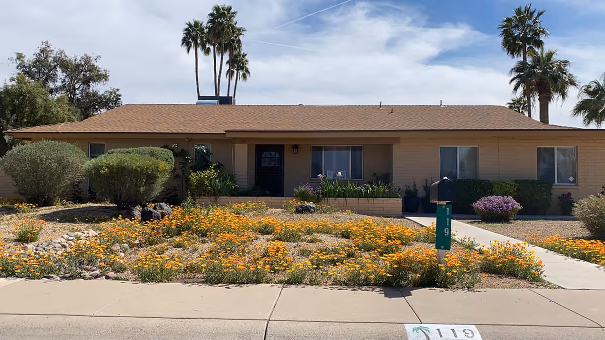 Single-story ranch-style building with a low roof, a front yard full of yellow-orange flowers and a mailbox marked 119.