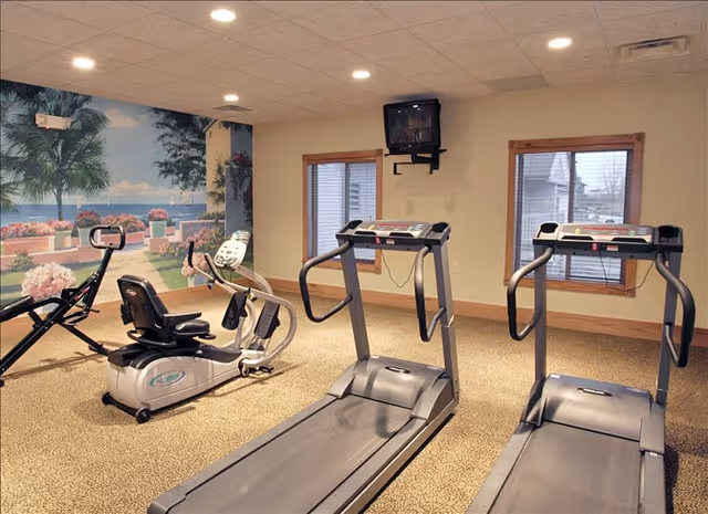 A small exercise room with two treadmills and a recumbent stationary bike. The room has beige walls, two windows with wooden frames, a wall-mounted TV, and a mural depicting a tropical outdoor scene with palm trees and a walkway.