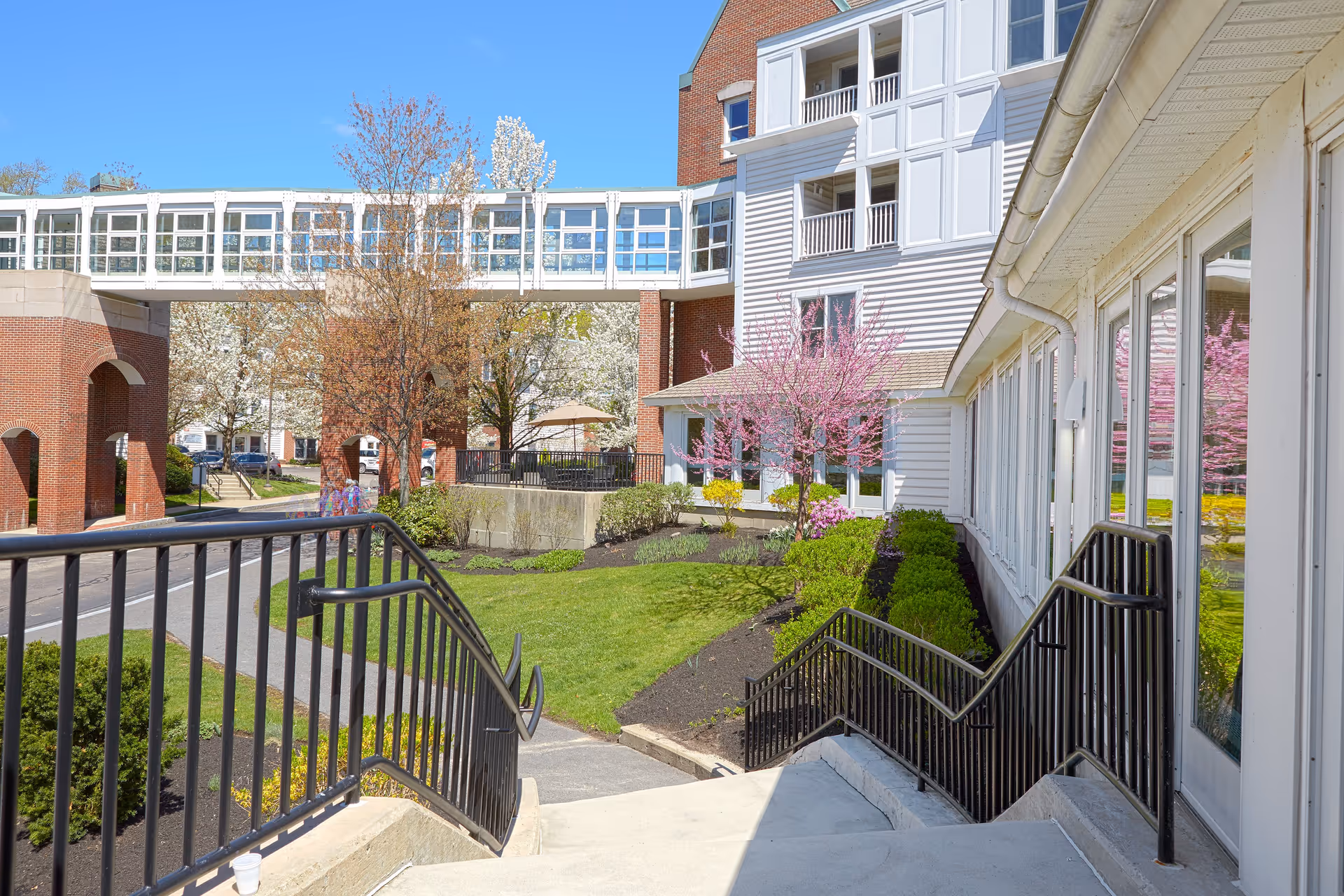 Outdoor view of a senior living facility with a walkway, stairs with black railings, landscaped garden with blooming trees and shrubs, and a skywalk connecting two buildings under a clear blue sky.
