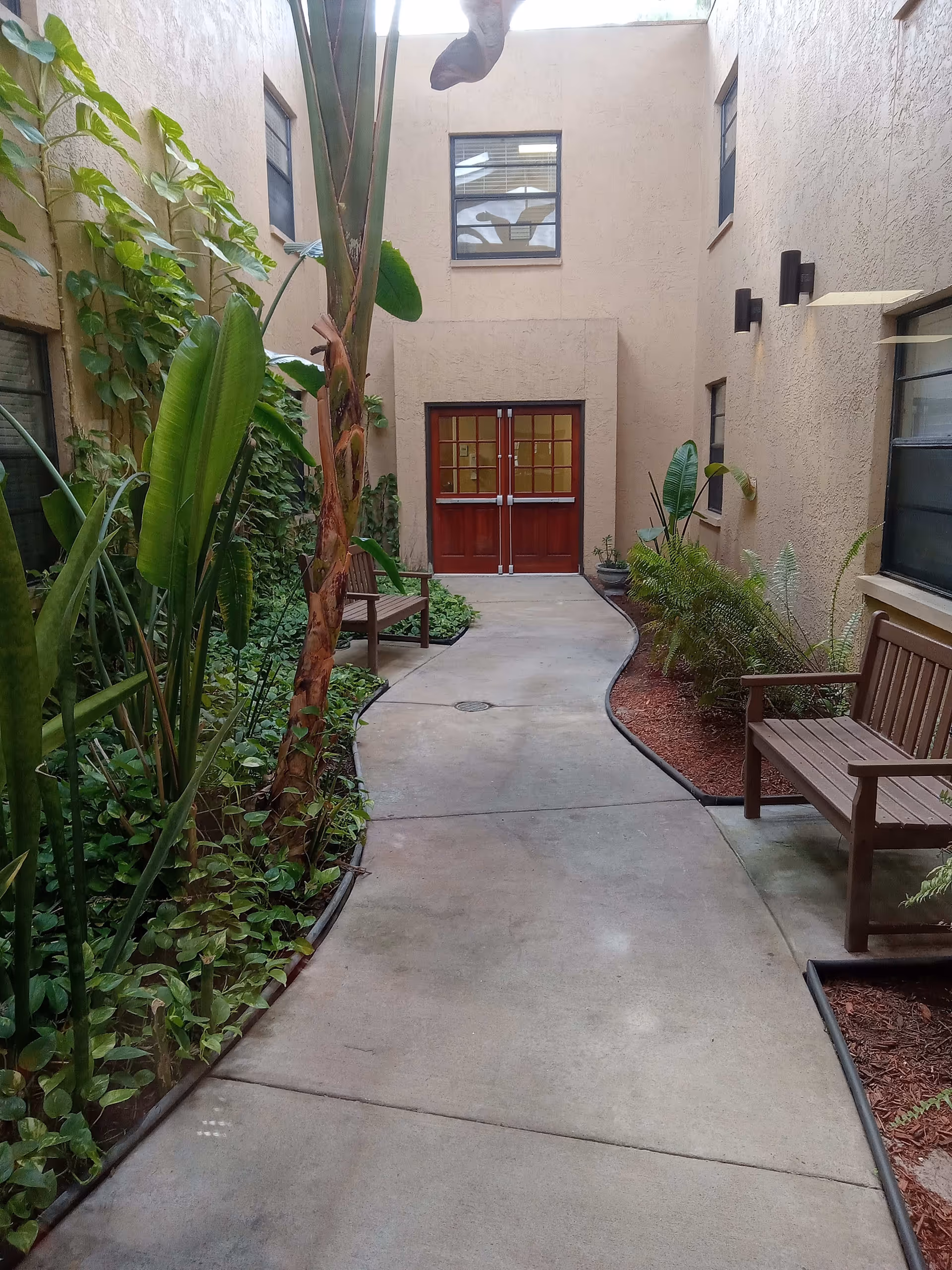 Indoor courtyard area with a concrete pathway flanked by green plants and two wooden benches. The walls are beige with several windows, and there is a set of double wooden doors at the end of the pathway.