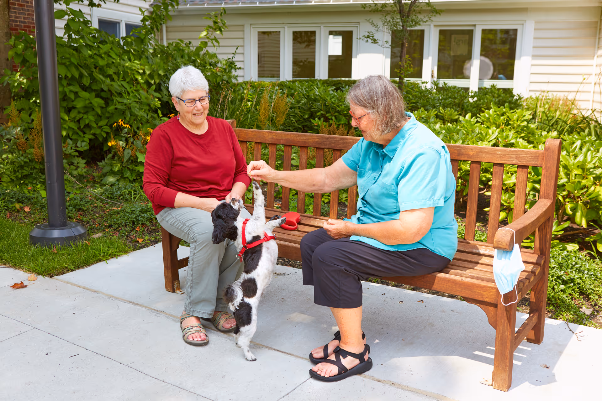 Two elderly women sitting on a wooden bench outside near greenery. One woman in a red shirt and gray pants is sitting on the left, while the other woman in a turquoise shirt and black pants is sitting on the right, feeding a small black and white dog standing on its hind legs. A face mask hangs on the right armrest of the bench.