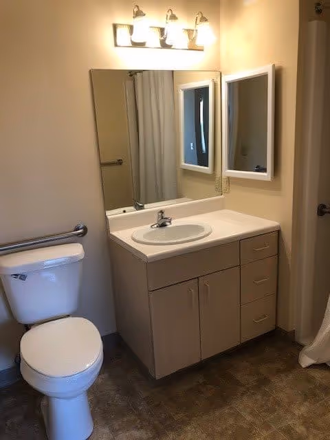 A bathroom with a white toilet, a beige vanity with a sink, a large mirror above the sink, and a light fixture with three bulbs mounted on the wall. There is a towel bar next to the toilet and a shower curtain visible in the background.