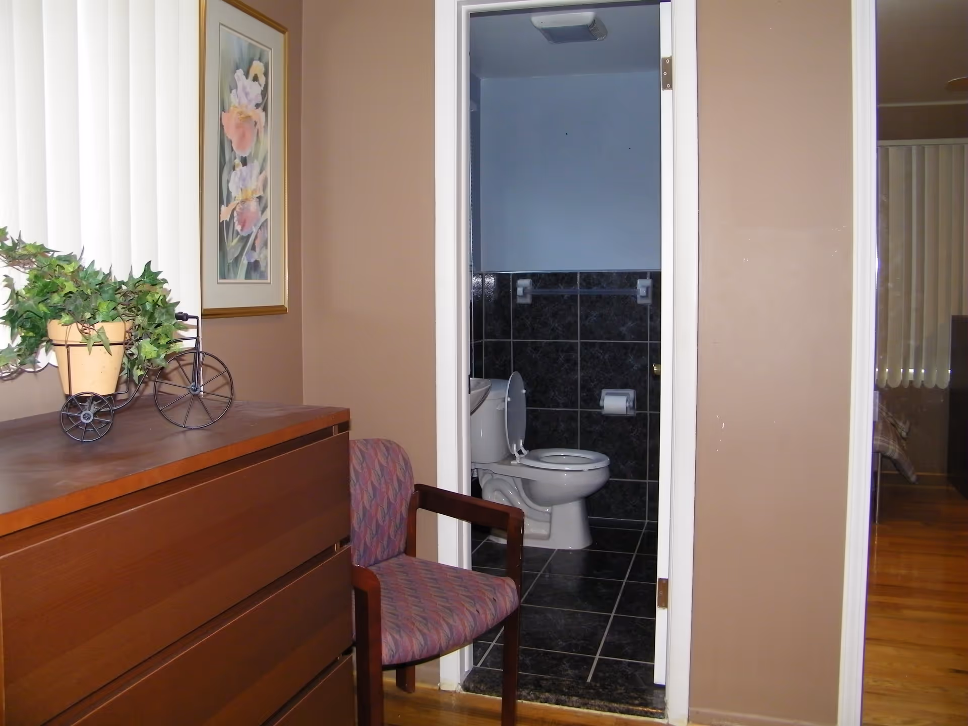 View into a small bathroom with a toilet seen through an open doorway from a furnished interior with a dresser, chair, and potted plant.