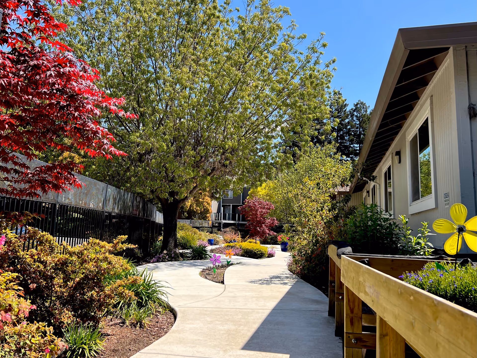 Sunlit landscaped courtyard walkway lined with trees, flowering shrubs, and a building on the right.
