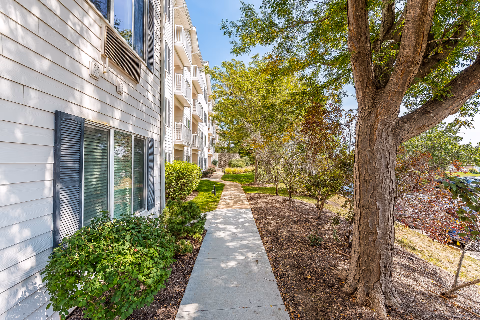 Sidewalk lined with bushes and trees running alongside a multi-story senior living building under a blue sky.