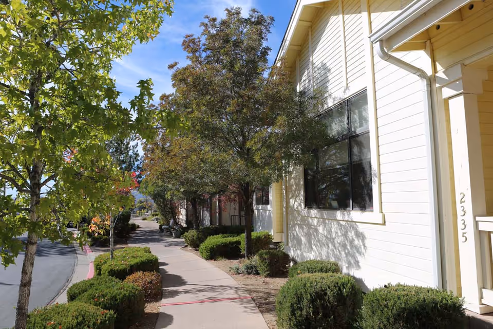 Sidewalk lined with trees and bushes alongside the light-colored exterior of a building under a blue sky.