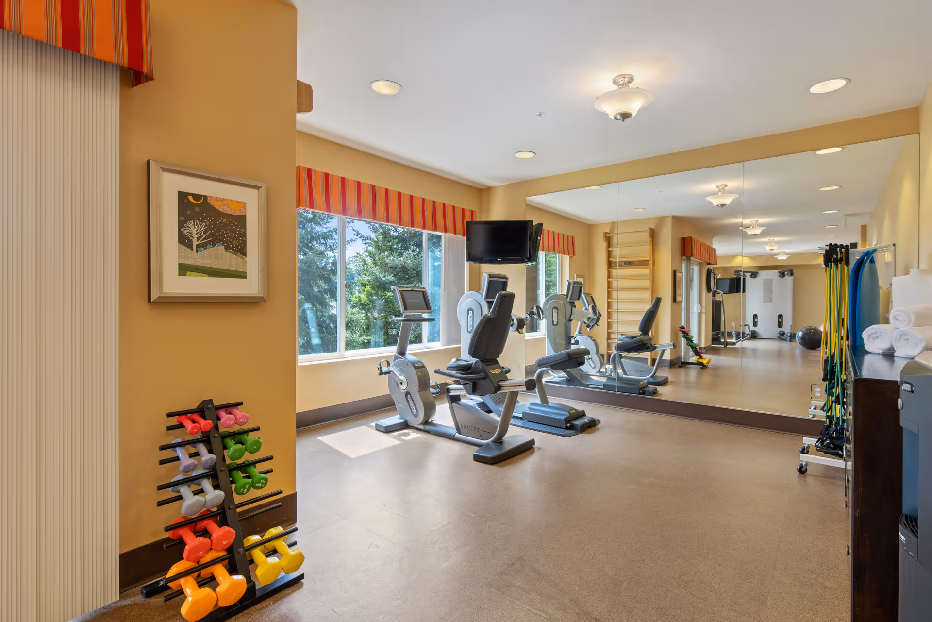 A bright exercise room with large windows, a wall-mounted TV, two stationary recumbent bikes, a rack of colorful dumbbells, resistance bands, and a large wall mirror reflecting the equipment and room.