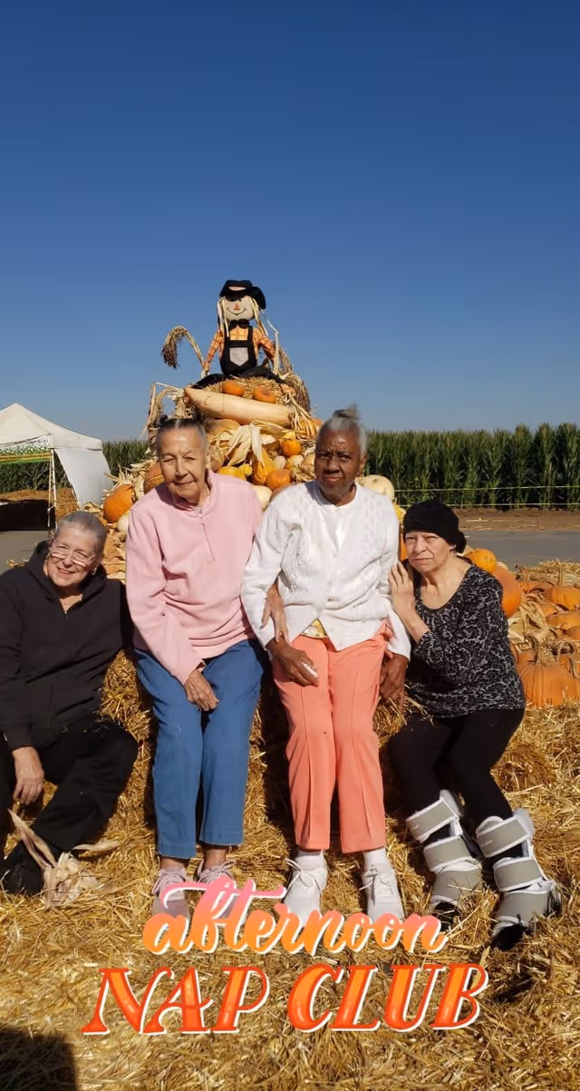 Four elderly women sitting on hay bales in front of a pumpkin and scarecrow display outdoors on a sunny day, with a clear blue sky and a cornfield in the background. The text 'afternoon NAP CLUB' is overlaid at the bottom of the image.