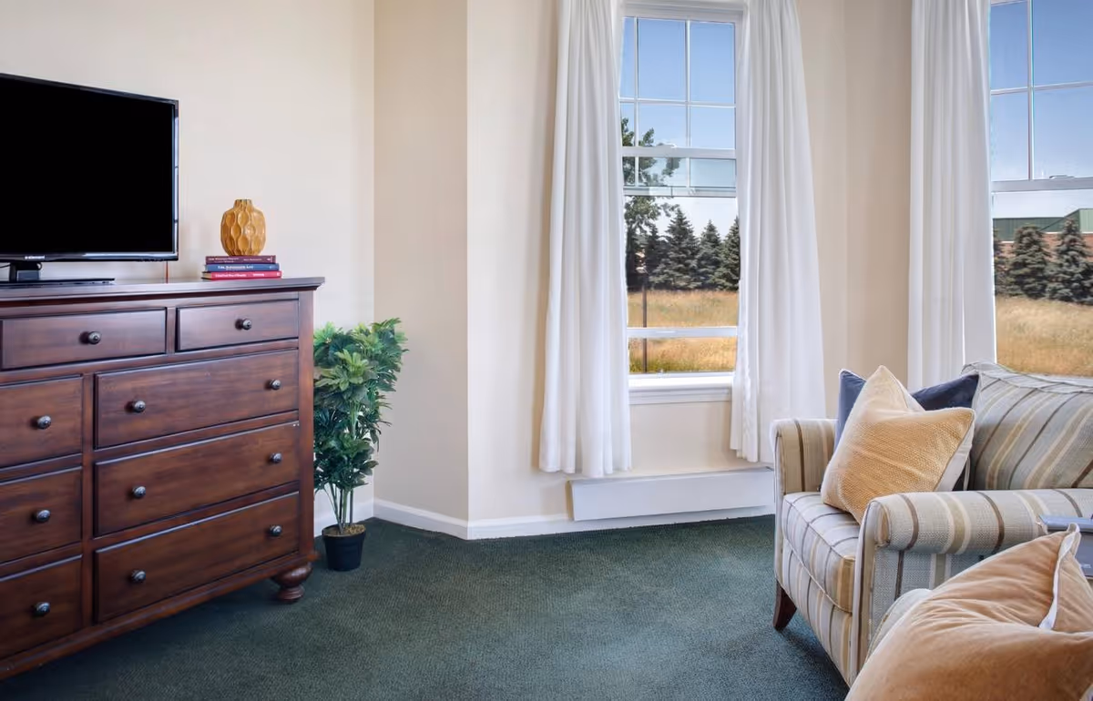 Bright living room with a wooden dresser and TV on the left, a potted plant and two windows with white curtains in the center, and a striped upholstered sofa with pillows on the right.