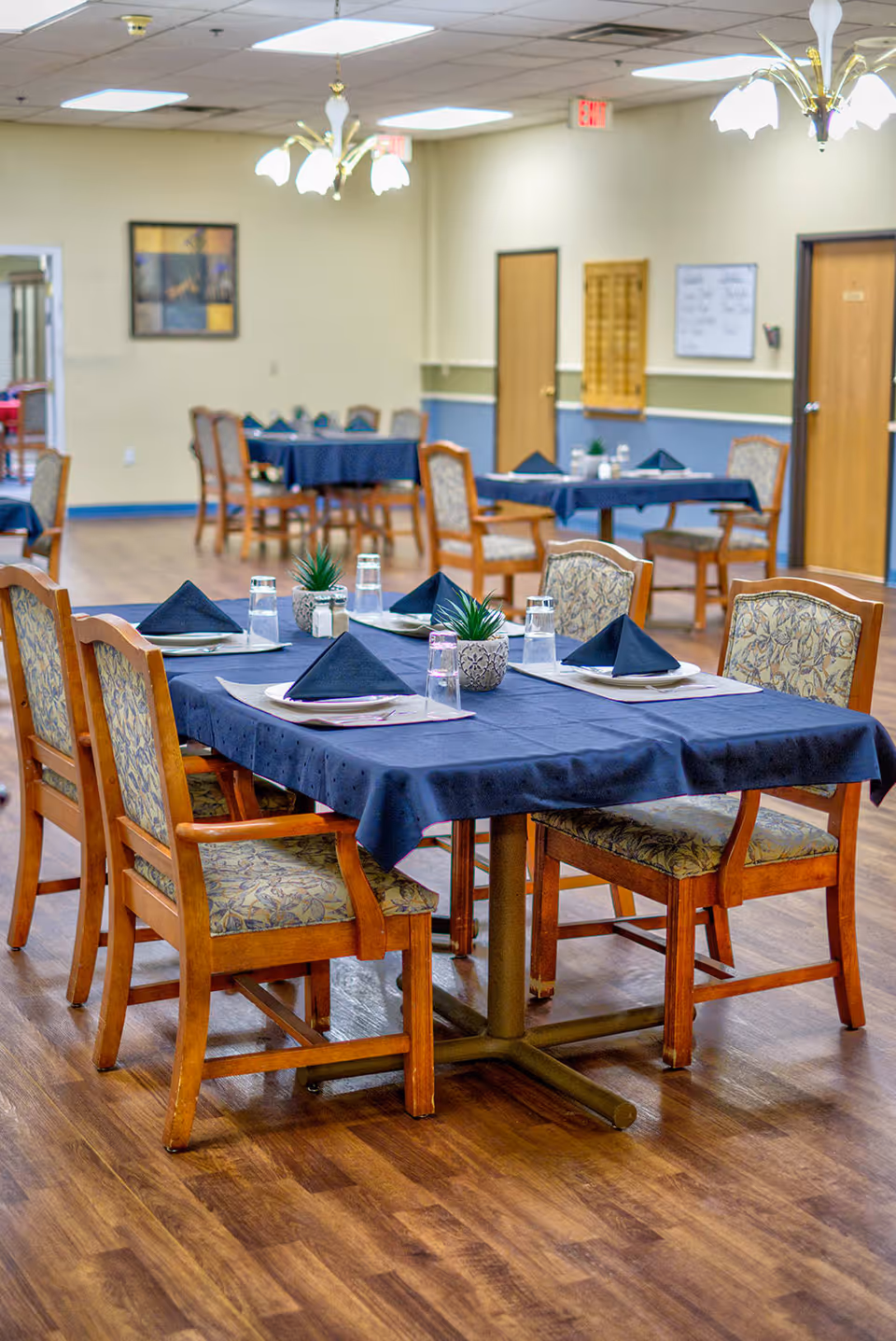 Dining room with wooden chairs featuring patterned cushions around tables covered with dark blue tablecloths. Each table is set with folded black napkins, glasses, and small potted plants. The room has wooden flooring, beige walls with a blue lower half, and ceiling lights with floral-shaped fixtures.