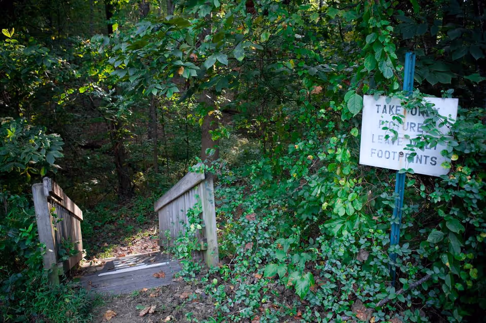A small wooden footbridge leads into a leafy forest path with a sign that reads 'Take only pictures, leave only footprints.'