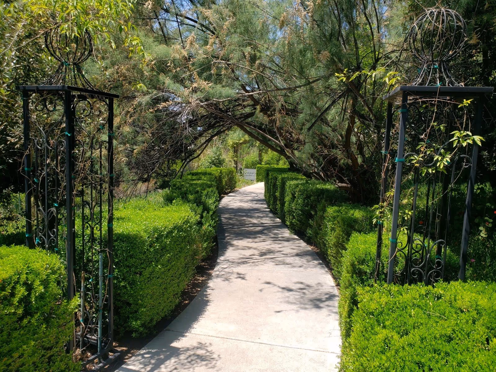 A paved garden pathway lined with neatly trimmed green hedges on both sides, leading under an arch formed by tree branches. Decorative black metal trellises are positioned on either side of the path entrance, with lush greenery surrounding the area.