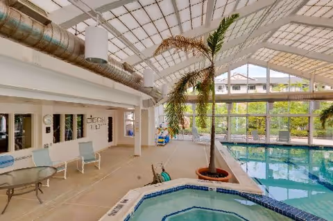 Indoor pool area with a hot tub in the foreground, a tall potted palm tree, several lounge chairs, and large windows letting in natural light. The ceiling has exposed ductwork and skylights.