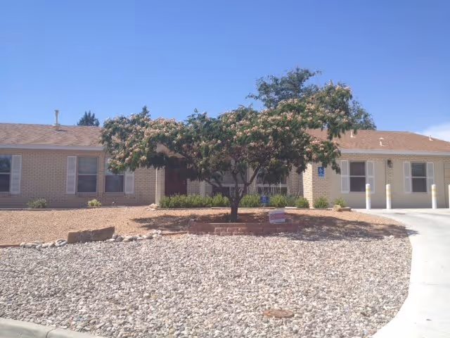 Single-story brick building with a brown roof and multiple windows, a tree with green leaves and pink flowers in the center of a rock-covered front yard, and a curved driveway leading to the entrance under a clear blue sky.