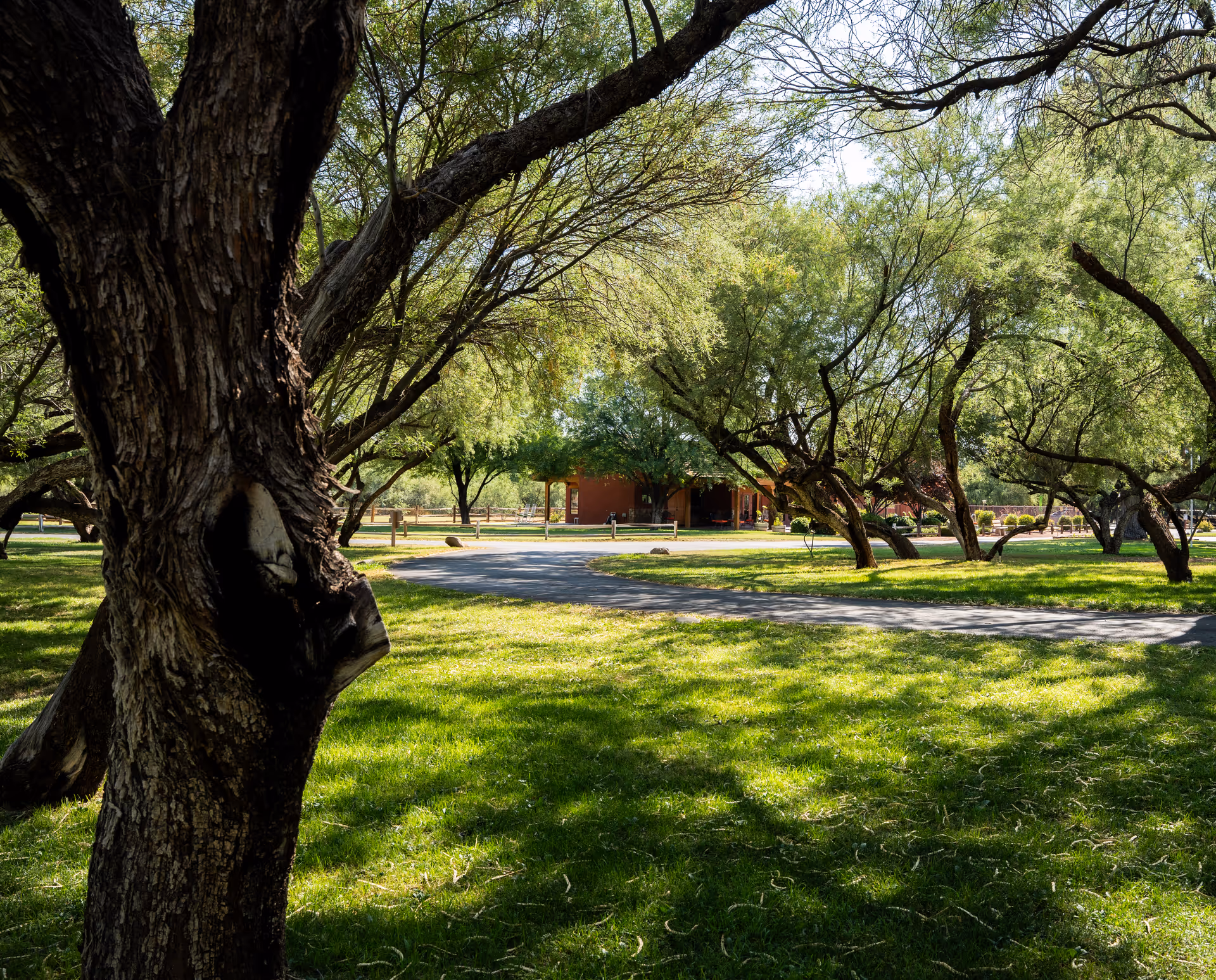 Shaded green lawn with mature trees and a paved path leading toward a low building in the background.