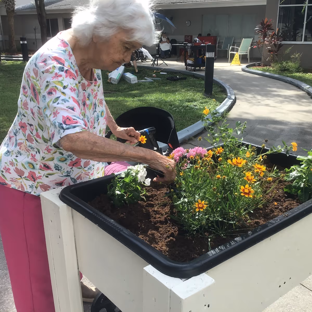An elderly woman with white hair wearing a floral shirt and pink pants is tending to a raised garden bed filled with colorful flowers outdoors at a nursing and rehab center. In the background, there is a paved walkway, some greenery, and a building with chairs and people sitting.