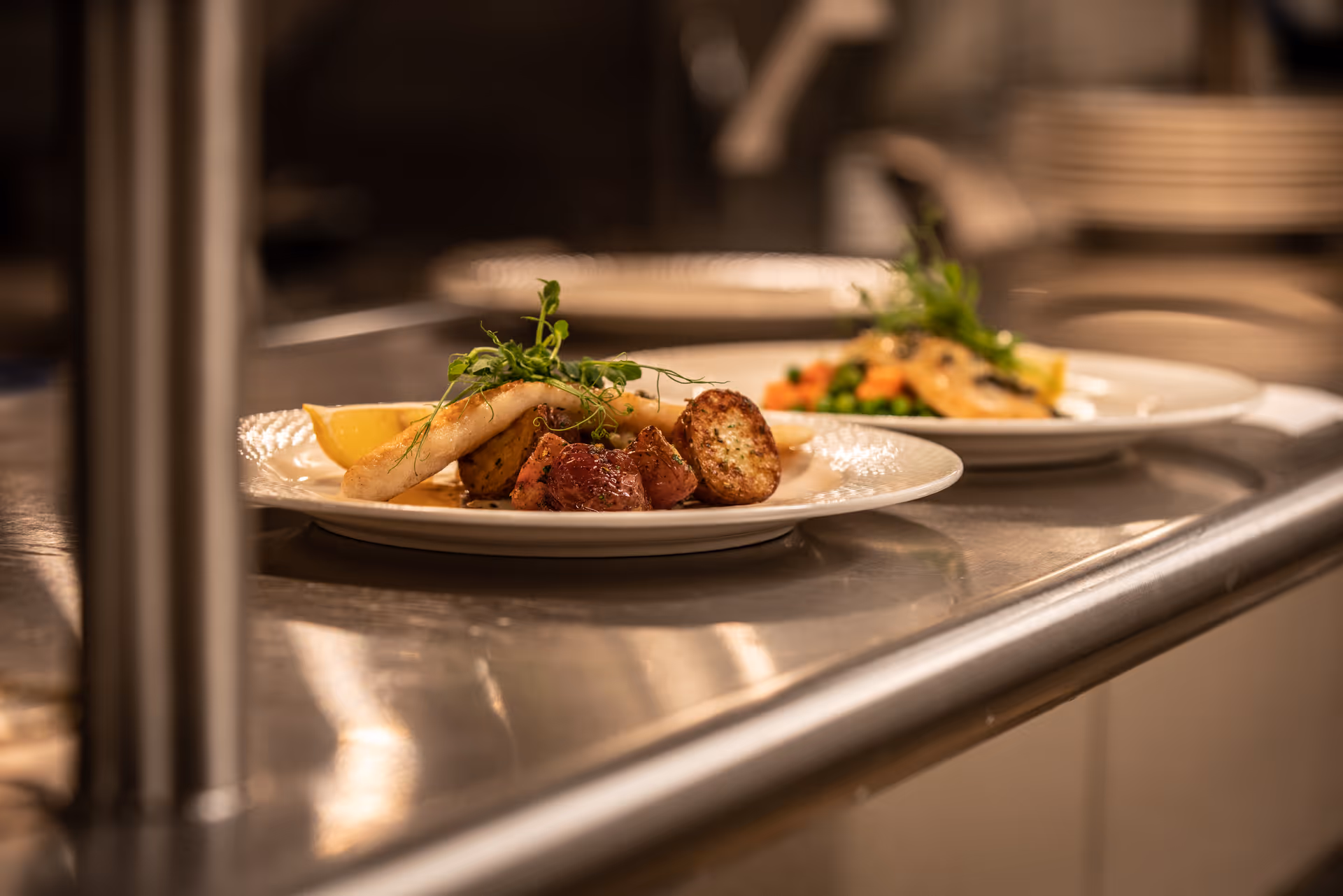 Two plates of food on a stainless steel counter, each plate featuring a piece of cooked fish garnished with greens, roasted potatoes, and a lemon wedge, with a blurred background of stacked plates.