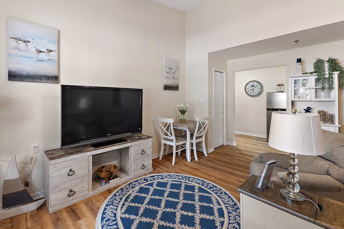 A cozy living room area with a flat-screen TV on a wooden stand, a small dining table with two chairs, a round blue patterned rug on wooden flooring, a gray couch with a lamp on a side table, and a white cabinet with plants and decorative items. The room has light-colored walls and two paintings of birds.