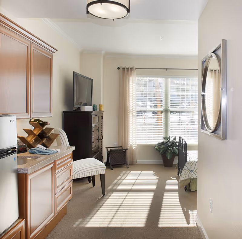 A bright room with a kitchenette on the left featuring wooden cabinets, a small refrigerator, and a wine rack. A striped chair is placed near a dark wooden dresser with a flat-screen TV on top. Sunlight streams through large windows with beige curtains, casting shadows on the carpeted floor. A potted plant is near the window, and part of a bed with a patterned bedspread is visible on the right.
