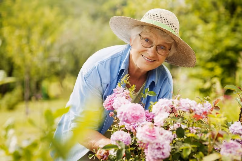 An elderly woman wearing glasses and a wide-brimmed straw hat is smiling while tending to pink flowers in a garden with green foliage in the background.