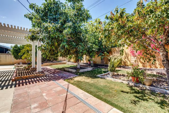 A sunny outdoor garden area with a paved walkway, green grass, various trees, and potted plants. There is a white pergola structure on the left side and a wooden fence in the background.