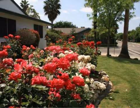 Front exterior of Green Gables Care Home Ii, with rose bushes and trees.
