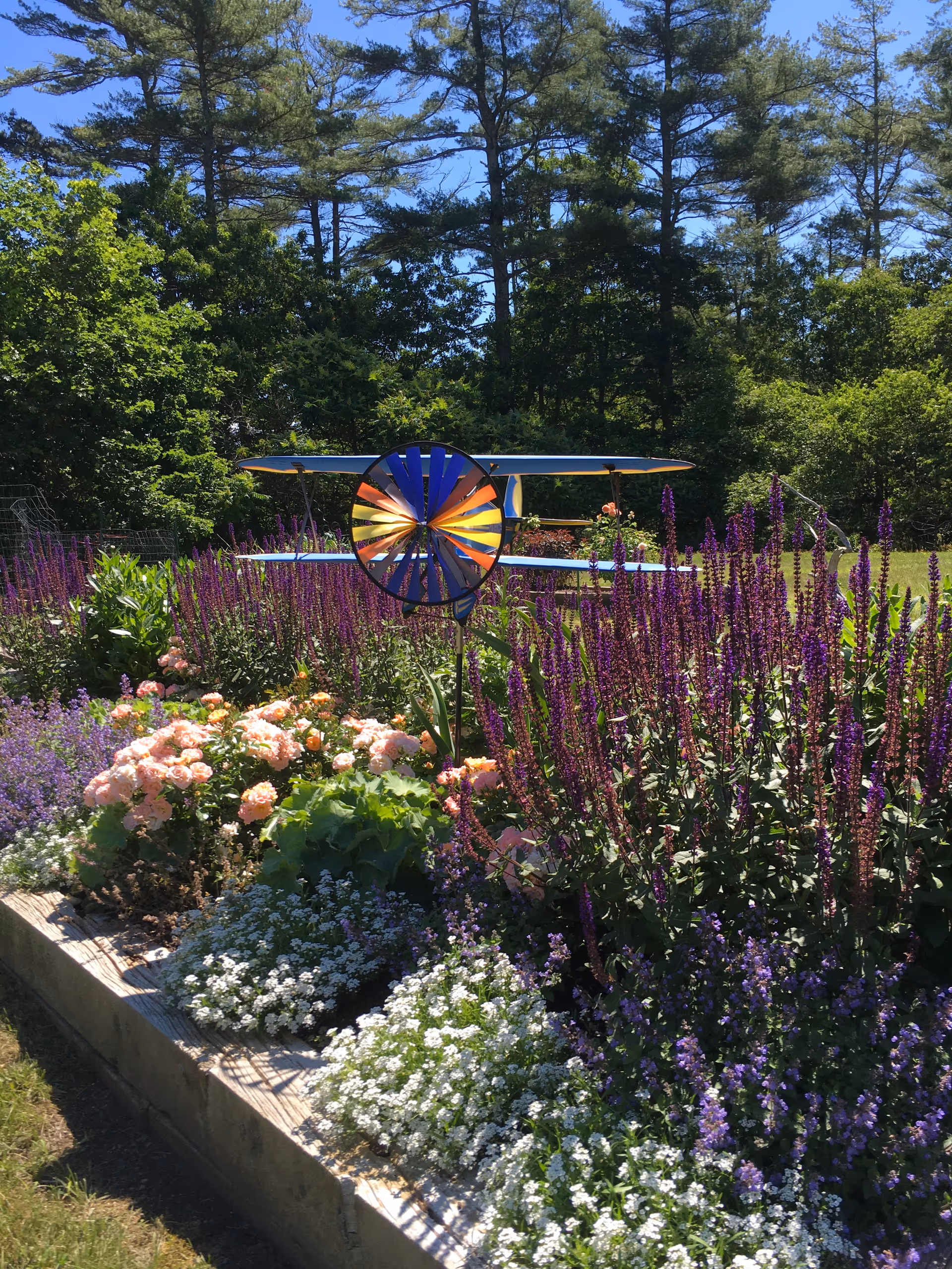 A colorful garden bed filled with various flowers including pink, white, and purple blooms, with a decorative metal airplane wind spinner in the center. Tall trees and greenery are visible in the background under a clear blue sky.