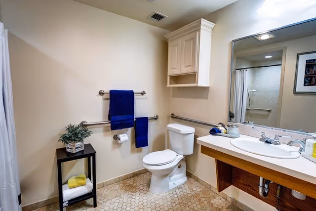 A clean and accessible bathroom featuring a white toilet, a sink with a large mirror above it, grab bars on the walls, a small black shelf with towels and a plant, and blue towels hanging on the wall.