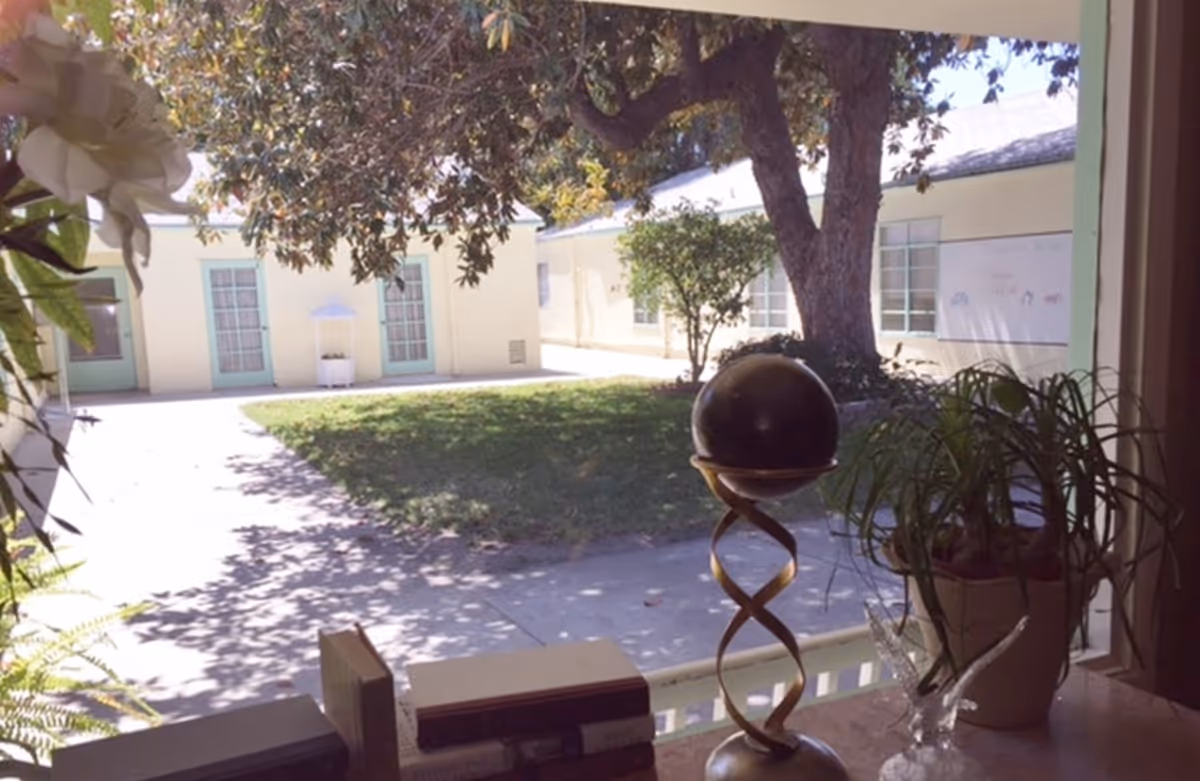 View through a window showing a courtyard with green grass, a large tree, and light-colored buildings with green doors and windows. Inside the window sill, there are books, a decorative globe on a twisted stand, a potted plant, and a glass bird figurine.