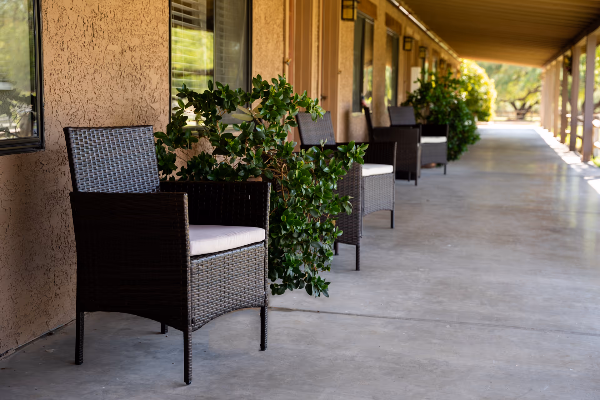 A covered outdoor walkway with several dark wicker chairs with white cushions lined up against a beige stucco wall. Green leafy plants are placed between the chairs, and the walkway extends into the distance with sunlight filtering through the trees.