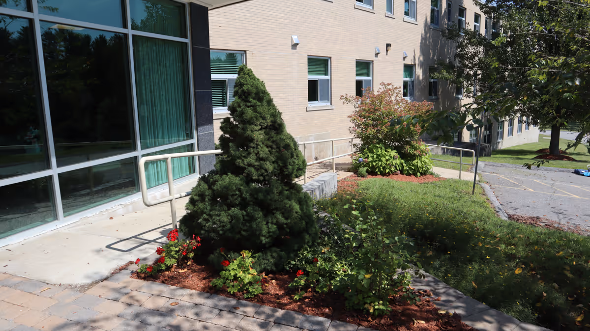 Landscaped entrance area with shrubs, a small conifer, and an access ramp beside a multi-story brick building.