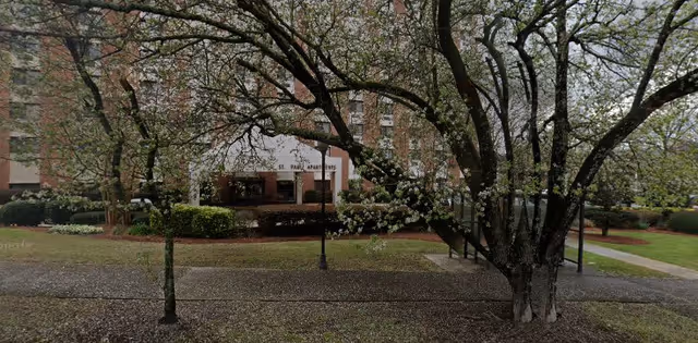 View of the front exterior of St. Paul Apartments building partially obscured by blooming trees and landscaping with a walkway in front.