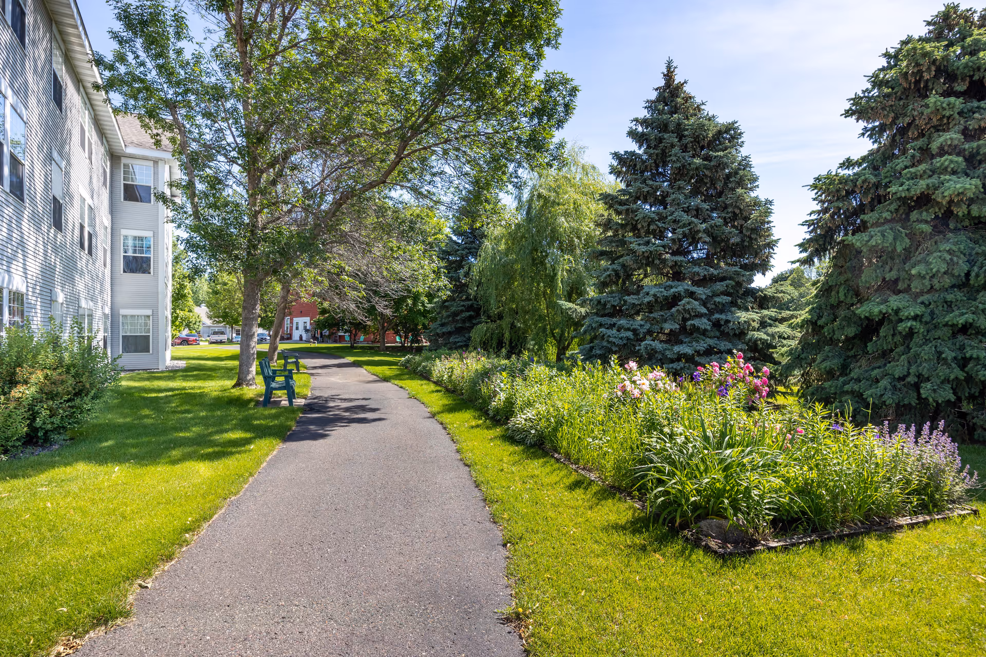A paved walking path in a green outdoor area with trees, flowering plants, and grass. There are two green benches along the path near a multi-story building on the left side. The sky is clear and blue.