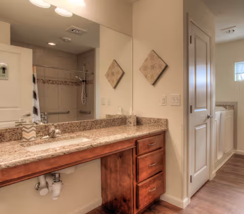 A bathroom interior featuring a granite countertop with a built-in sink and wooden cabinetry below. A large mirror spans the wall above the sink. On the left side, there is a tiled shower area with a grab bar and a shower curtain. On the right side, there is a white door and a walk-in bathtub with a window above it. The walls are light-colored, and two decorative square tiles are mounted on the wall above the countertop.