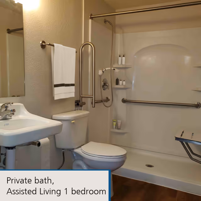 A private bathroom in an assisted living facility featuring a white sink with a faucet, a toilet, and a walk-in shower with grab bars and built-in shelves holding toiletries. A white towel hangs on a towel rack next to the sink. The floor appears to be wood or wood-like material.