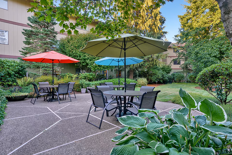 Outdoor patio area with several round tables and chairs, each table shaded by large colorful umbrellas in red, green, and blue. The patio is surrounded by lush green plants, bushes, and trees, with a building visible in the background under a clear blue sky.
