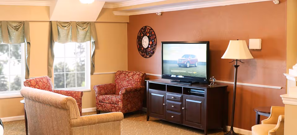 A cozy living room area with a flat-screen TV on a dark wooden cabinet, two patterned armchairs, a beige upholstered chair, a floor lamp, and two windows with green valances letting in natural light.
