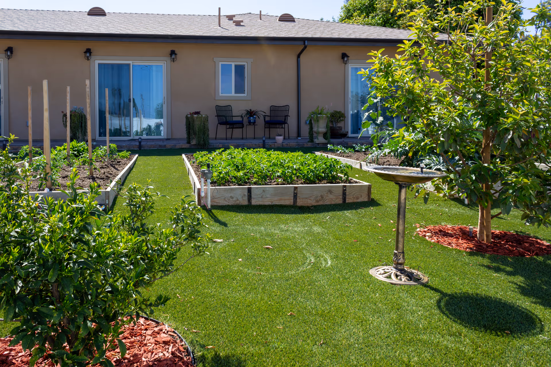 A sunny garden area with raised planting beds filled with green plants, a birdbath, and small trees surrounded by red mulch. In the background, there is a beige building with sliding glass doors and two black chairs on a patio.