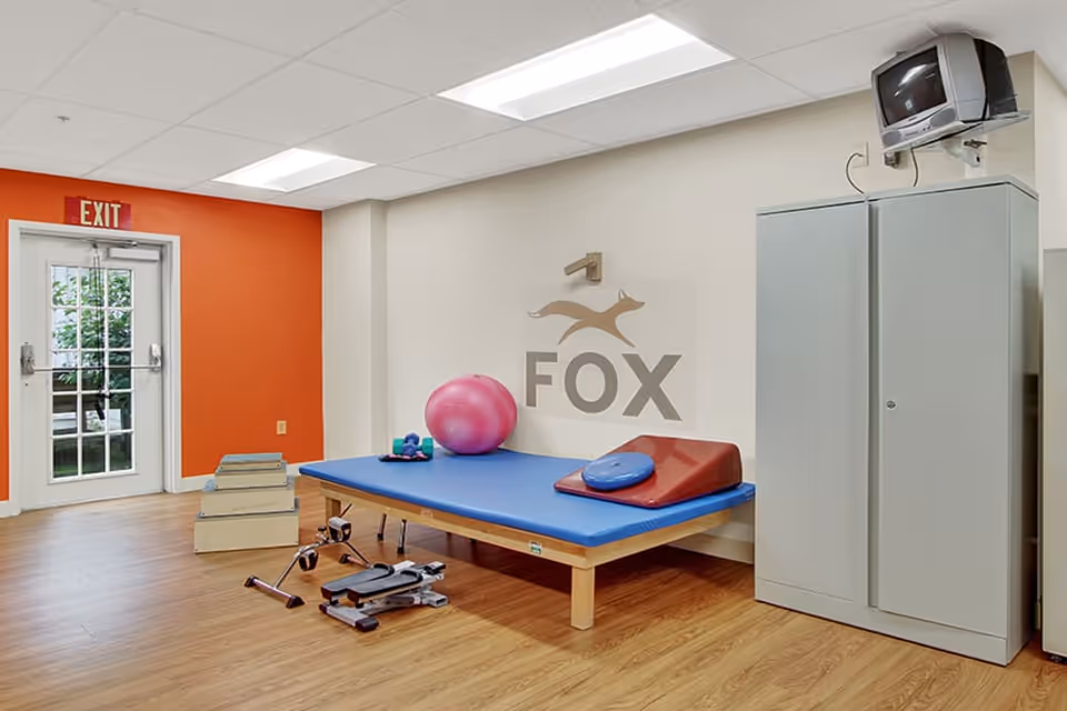 A small exercise room with a blue padded platform holding a pink exercise ball, small weights, and a red wedge cushion. There is a gray cabinet with a small TV mounted above it on the right side. The walls are white and orange, with an exit door on the left side. The floor is wood laminate.
